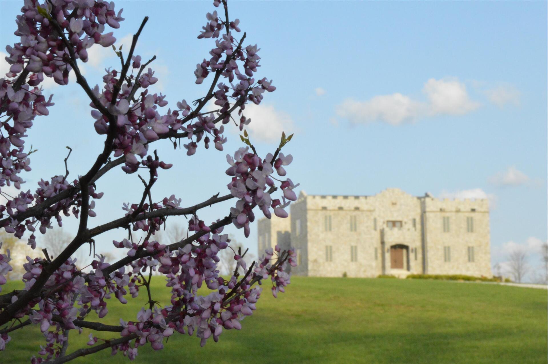 castle in spring