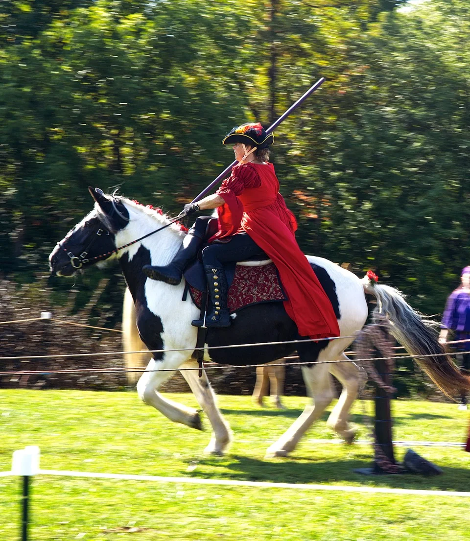 Jousting lady in red dress